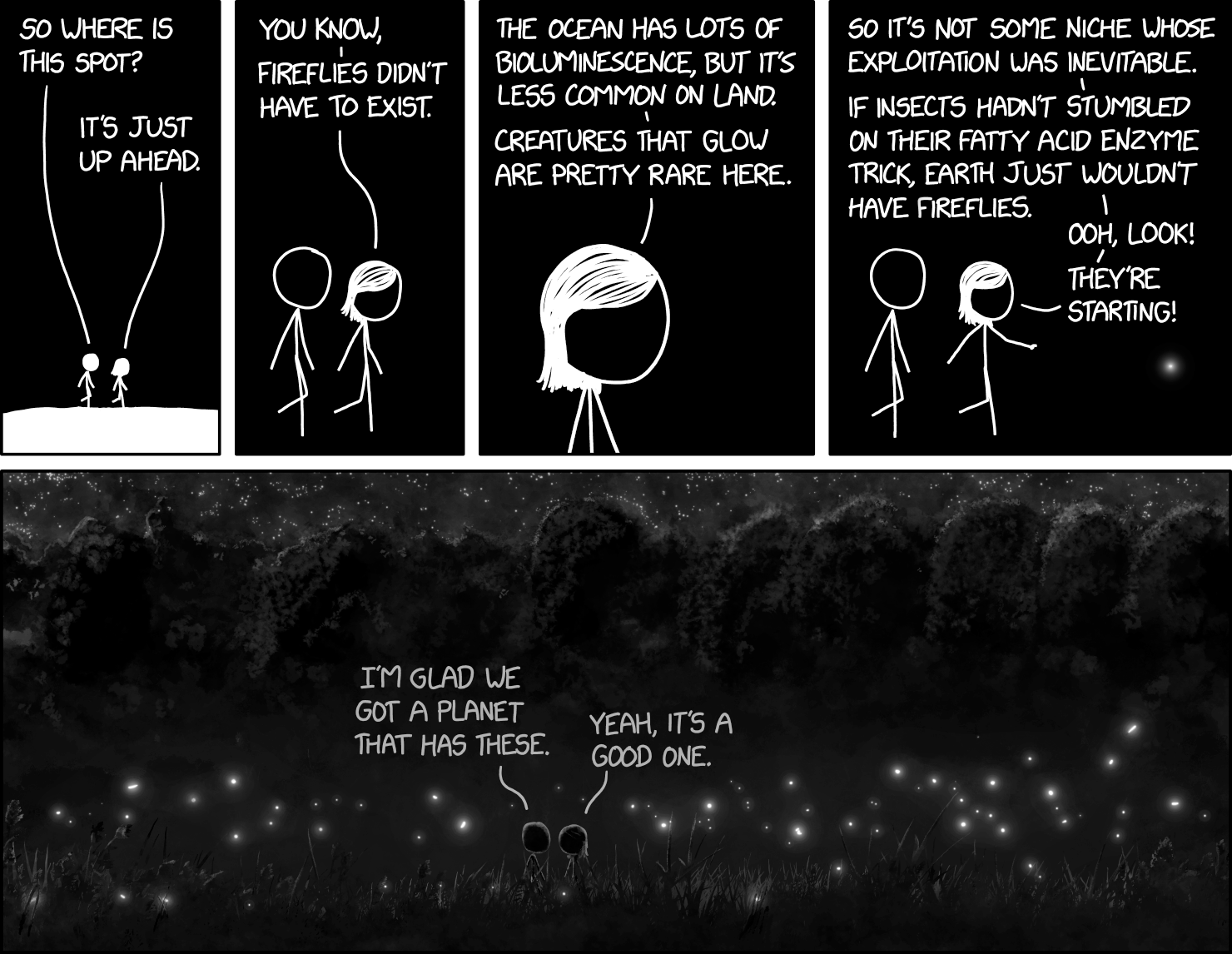 A comic about the beauty of fireflies: Two people talk about how fireflies are exceptional as luminescent land animals and developed by coincidence.
                            They sit in a landscape surrounded by fireflies and say: "I'm glad we got a planet that has these." – "Yeah, It's a good one."